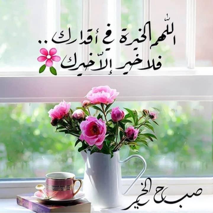 alibinmasoad's tweet image. 