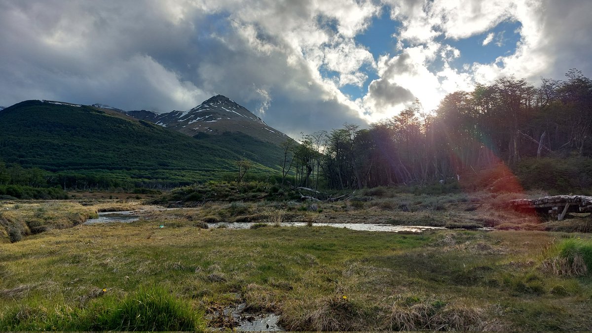 More photos 🥺❤️