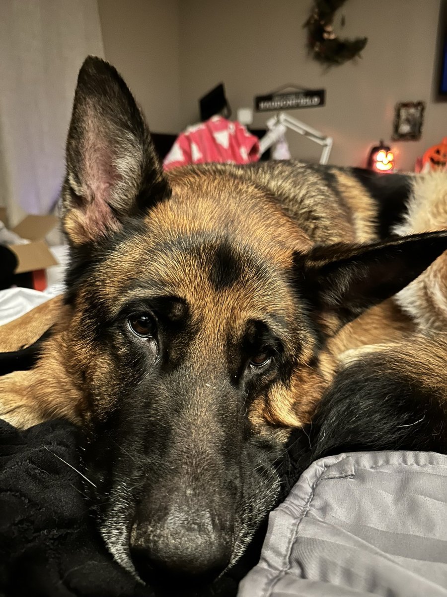 Sinpaiin ❤️‍🔥 tweet media