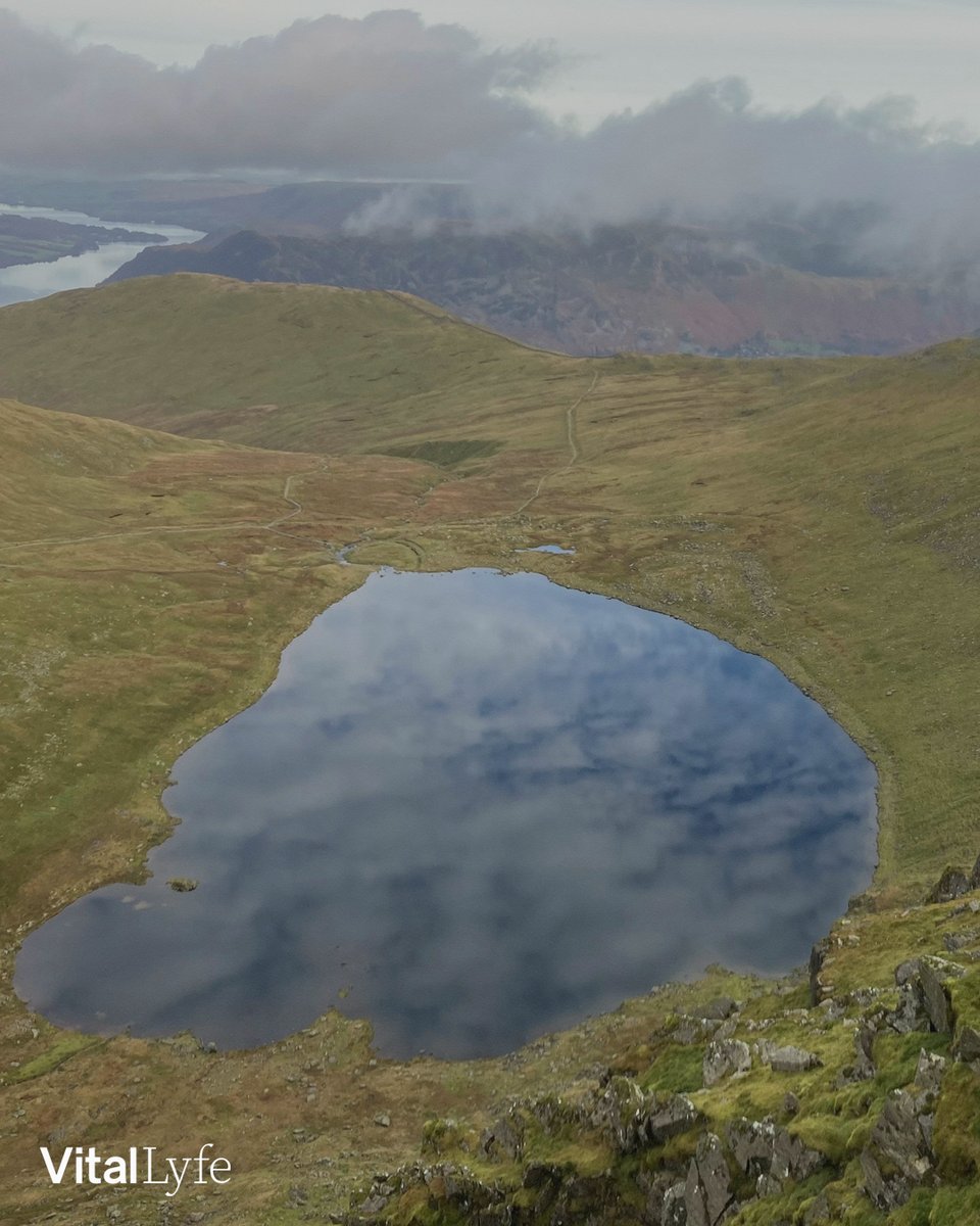 Access isn’t abstract. It starts with taking control. 
Every system we build begins with that idea, personal access to what matters most. 
 📩 Join us (Link in bio)

#VitalLyfe #WaterAutonomy #AccessReimagined #PurposeBuilt #InnovationForChange