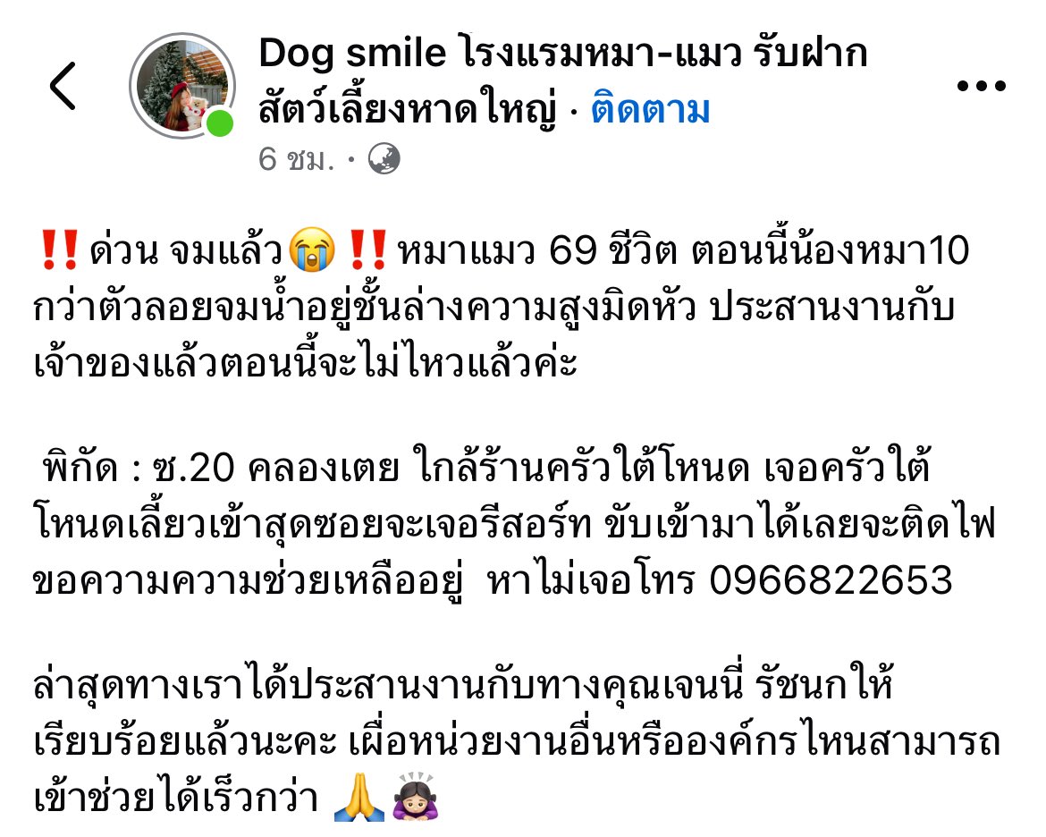 churisuigg's tweet photo. 🚨Pls rt ขอแรงช่วยอีกเคสด่วนค่ะ🚨
หมาแมว69ชีวิต ผู้หญิง1ชีวิต

พิกัด ซอย 20 คลองเตย ใกล้ร้านครัวใต้โหนด ติดไฟขอความช่วยเหลืออยู่ 
ติดต่อ 0966822653 (แบตอาจจะหมด)

ตอนนี้น้องหมาลอยคอแล้วค่ะ หากยังไม่ได้รับการช่วยเหลือน้องไม่รอดแน่นอนค่ะ 😭
#น้ำท่วม #น้ำท่วมหาดใหญ่ #น้ำท่วมภาคใต้ https://t.co/HlczCjFhPa