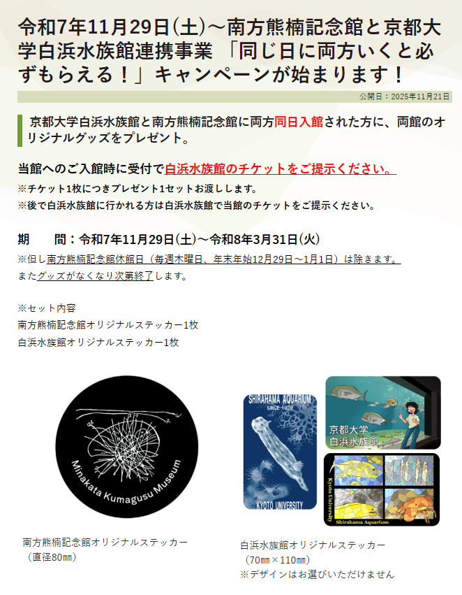 ブログ更新しました
「京都大学白浜水族館との連携事業(11/29~)のお知らせ」
minakatakumagusu-kinenkan.jp/2025/11/26/234…