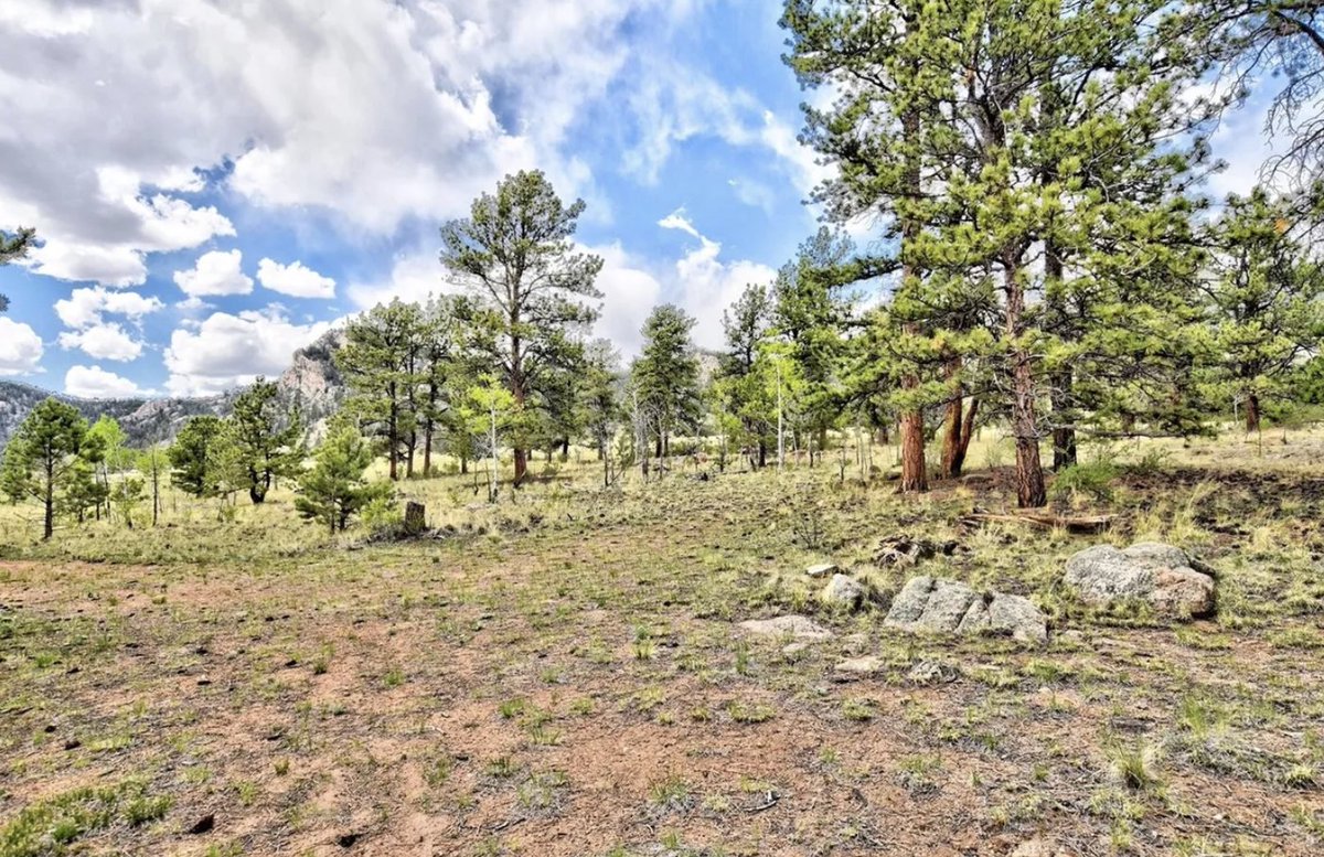 CountryLife717's tweet image. $250,000
#OffGrid #Colorado Mountain Retreat on 5.62 #Acres. This cozy rustic #cabin is surrounded by trees and has #mountainviews. Close to hiking, camping and anything outdoors. countrylifedreams.com/off-grid-color…