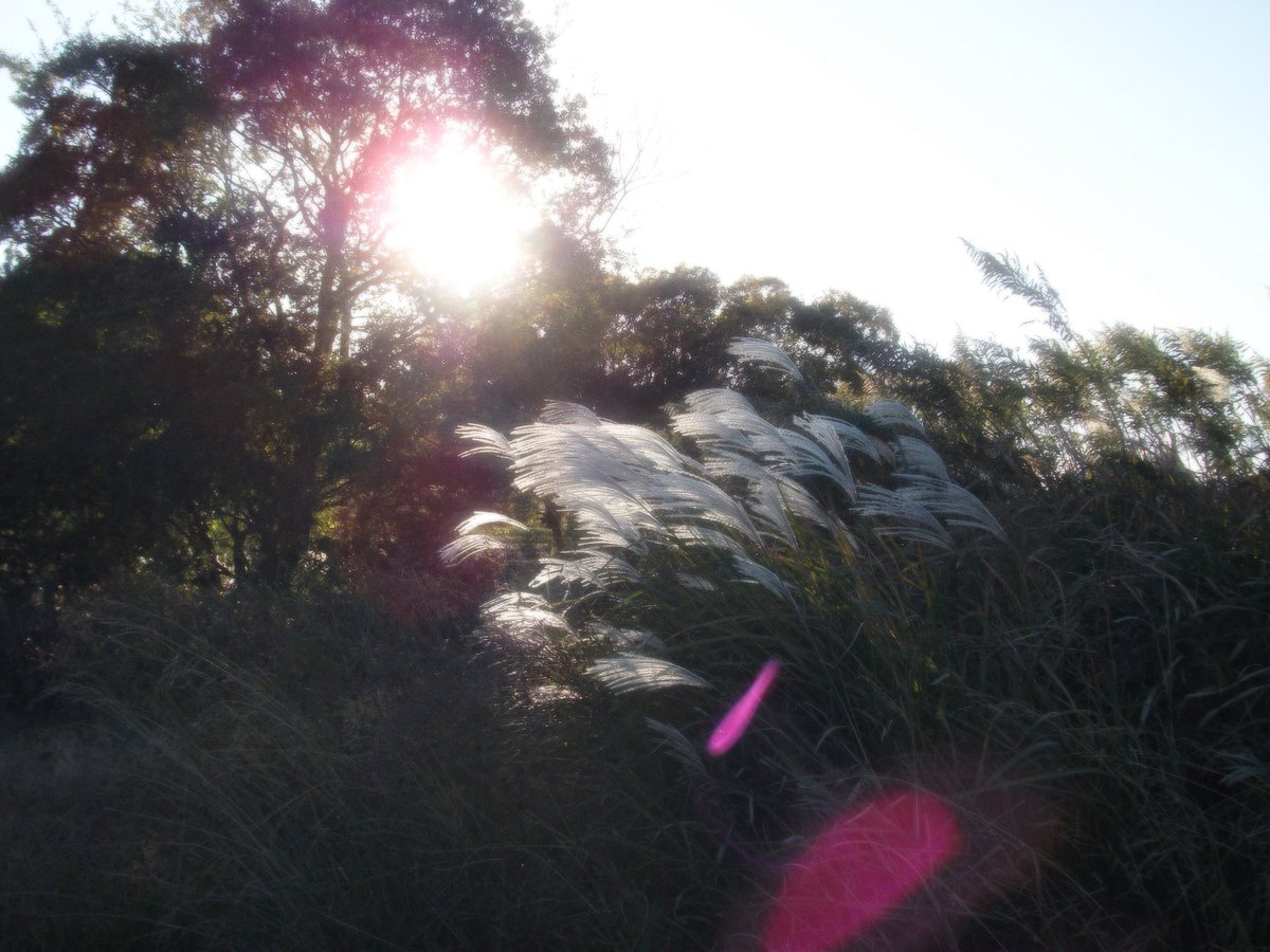 25u (@miniminippi) on Twitter photo 