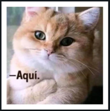 Andrés Cedillo tweet media