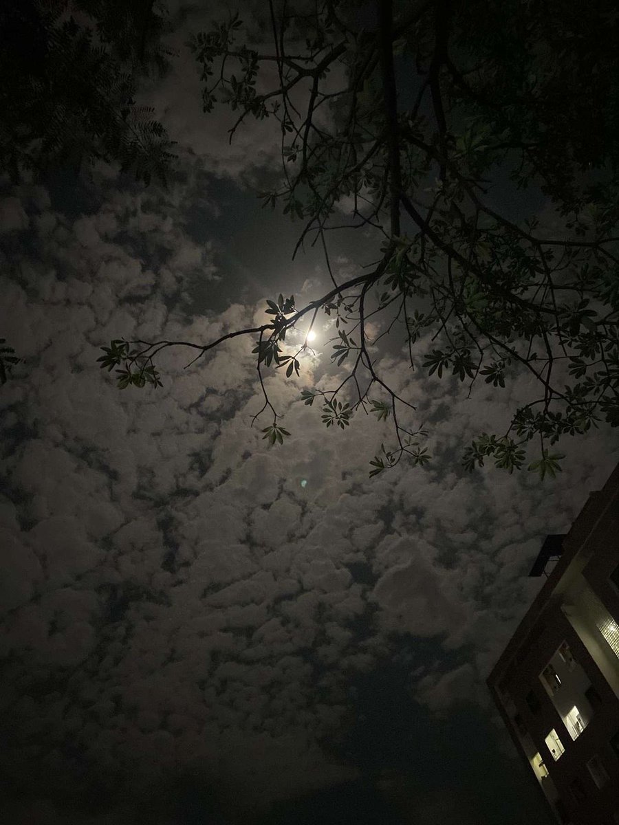 trumi_i's tweet image. Go to pinterest and search ~

~ celebrity
~ outfit
~ quote
~ aesthetic