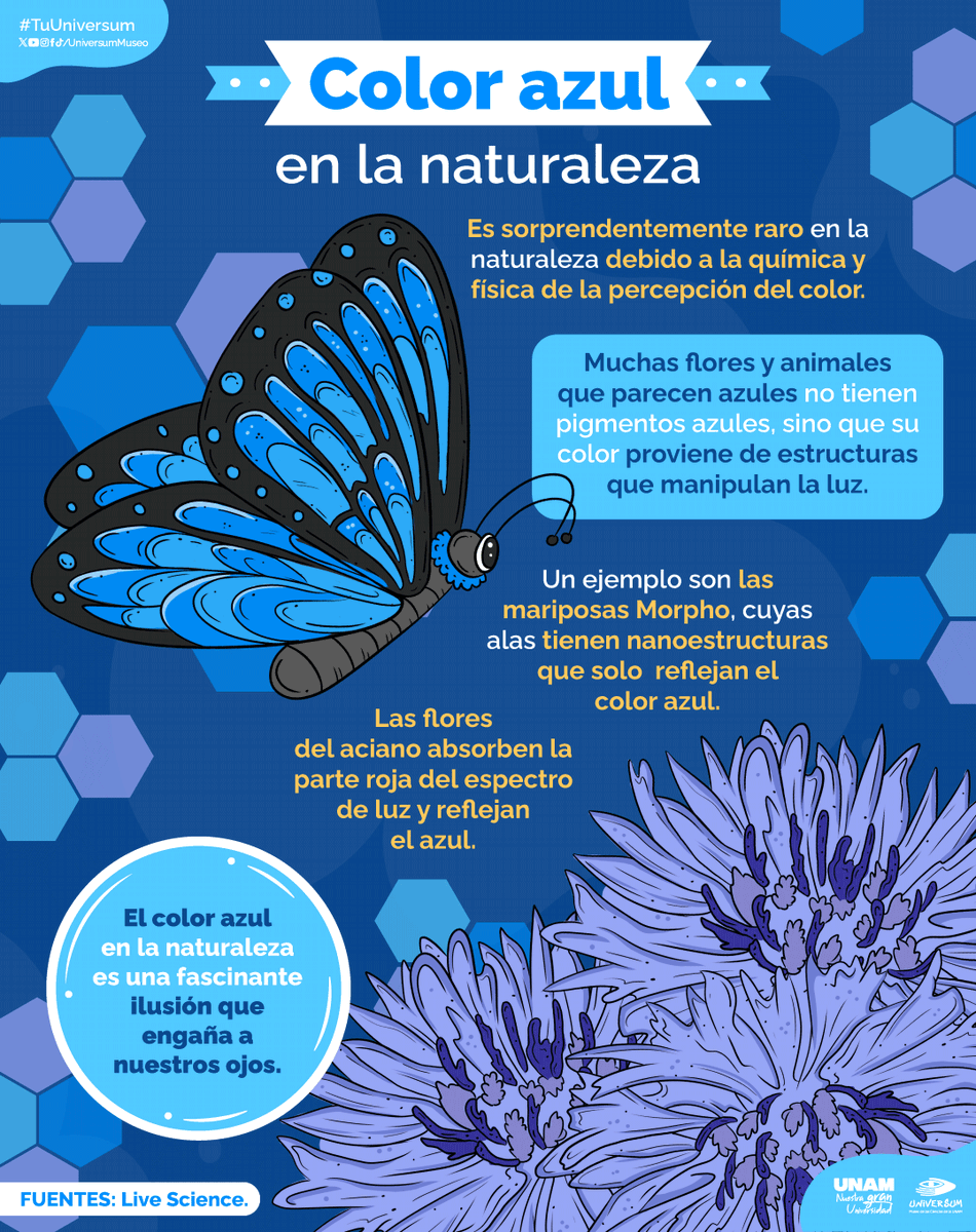 💙💙💙

#TuUniversum
