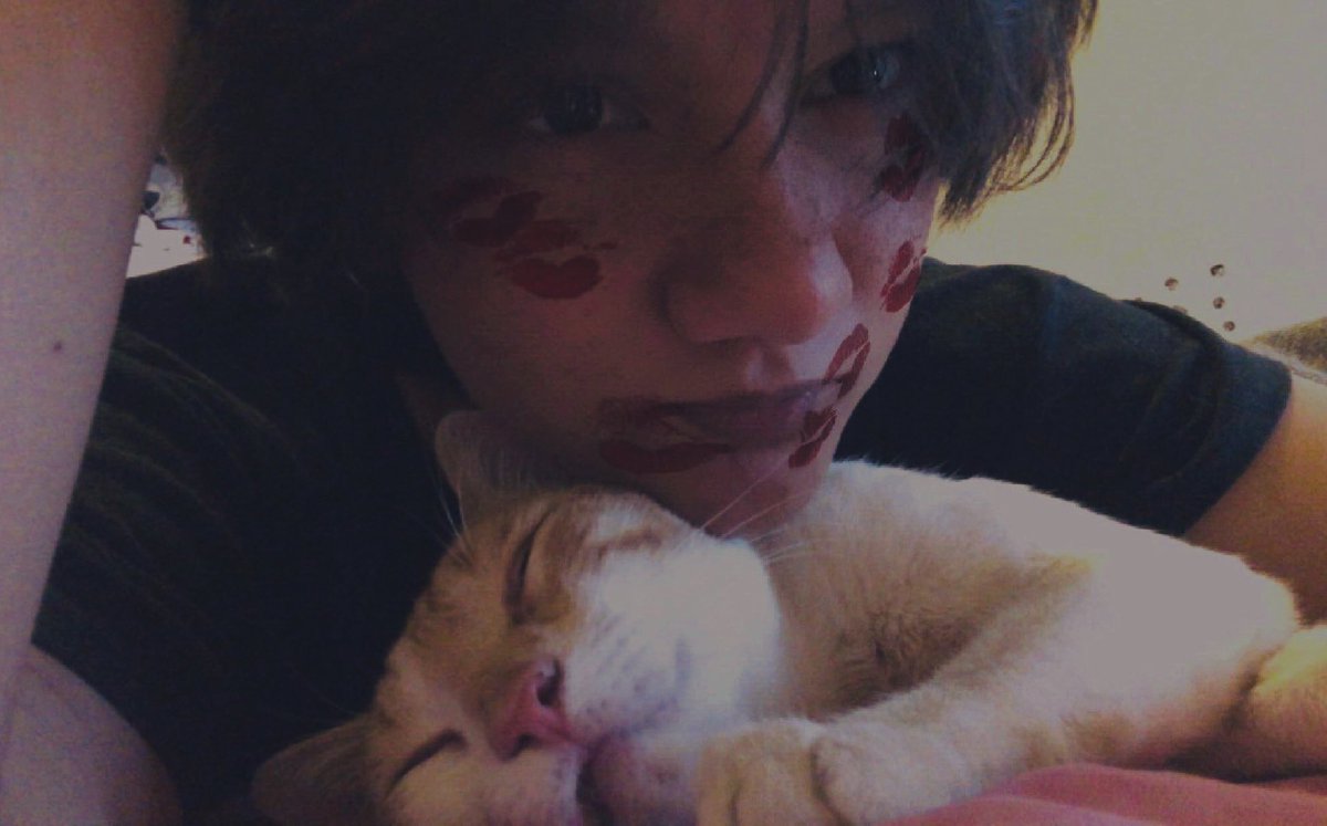 Knjlin0s's tweet image. 😽
#stayselcaday #leeknow #linos #shuporangporang #straykids