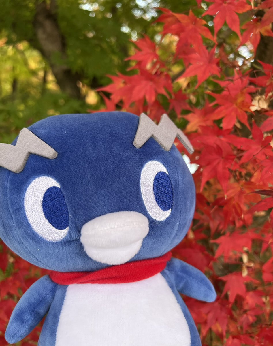 たまピー＠”もっと”おもしろいこと いつもここから (@tamapi1953