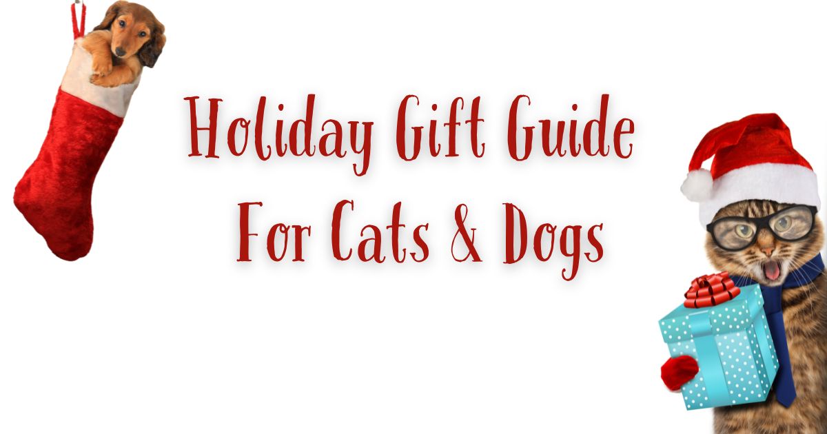 EmilyReviewsCom's tweet image. Don&apos;t forget gifts for your pets this holiday season! Here are our gift ideas for cats and dogs. #ad #giftguide #holidaygiftguide #giftideas #giftsforcats #giftsfordogs emilyreviews.com/2025/11/pets-g…