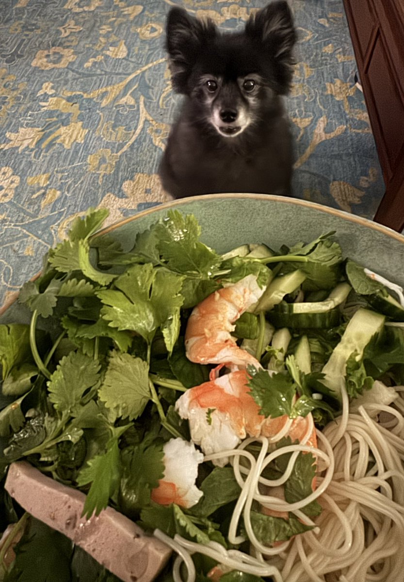 benji stays creeping