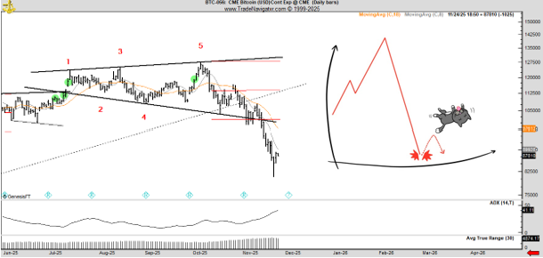 Meow??? How high can the cat bounce?