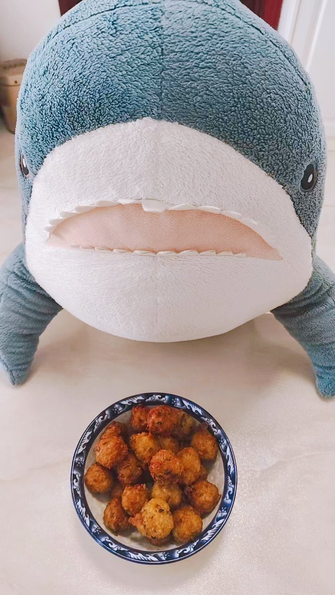 meshi_same's tweet image. 揚げミートボールだよー🦈
中にはサメの好きなレンコンとキノコも入ってるよ