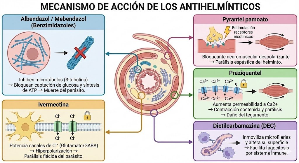 Dr. Javier Flores tweet media