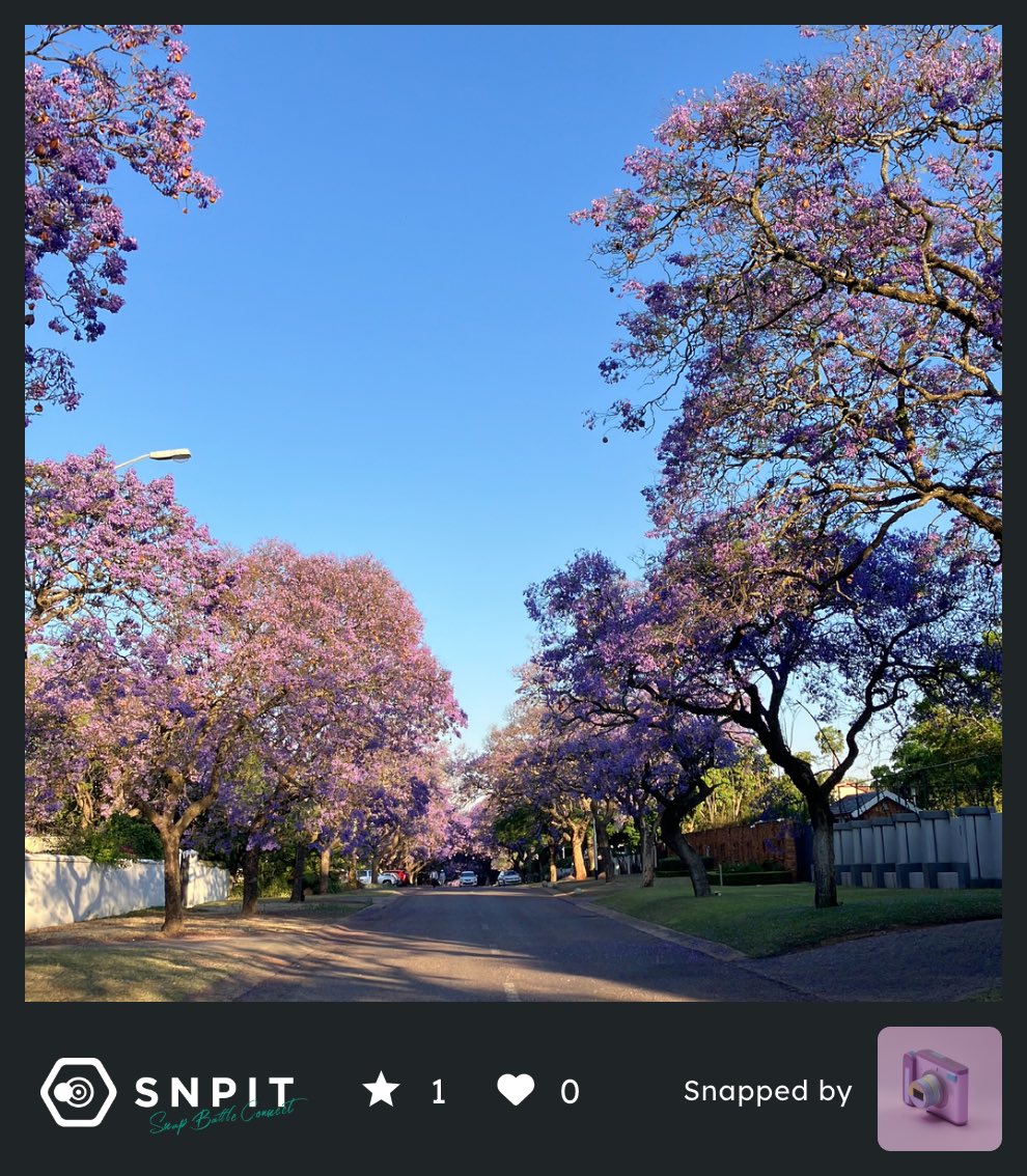 まりもさん tweet media