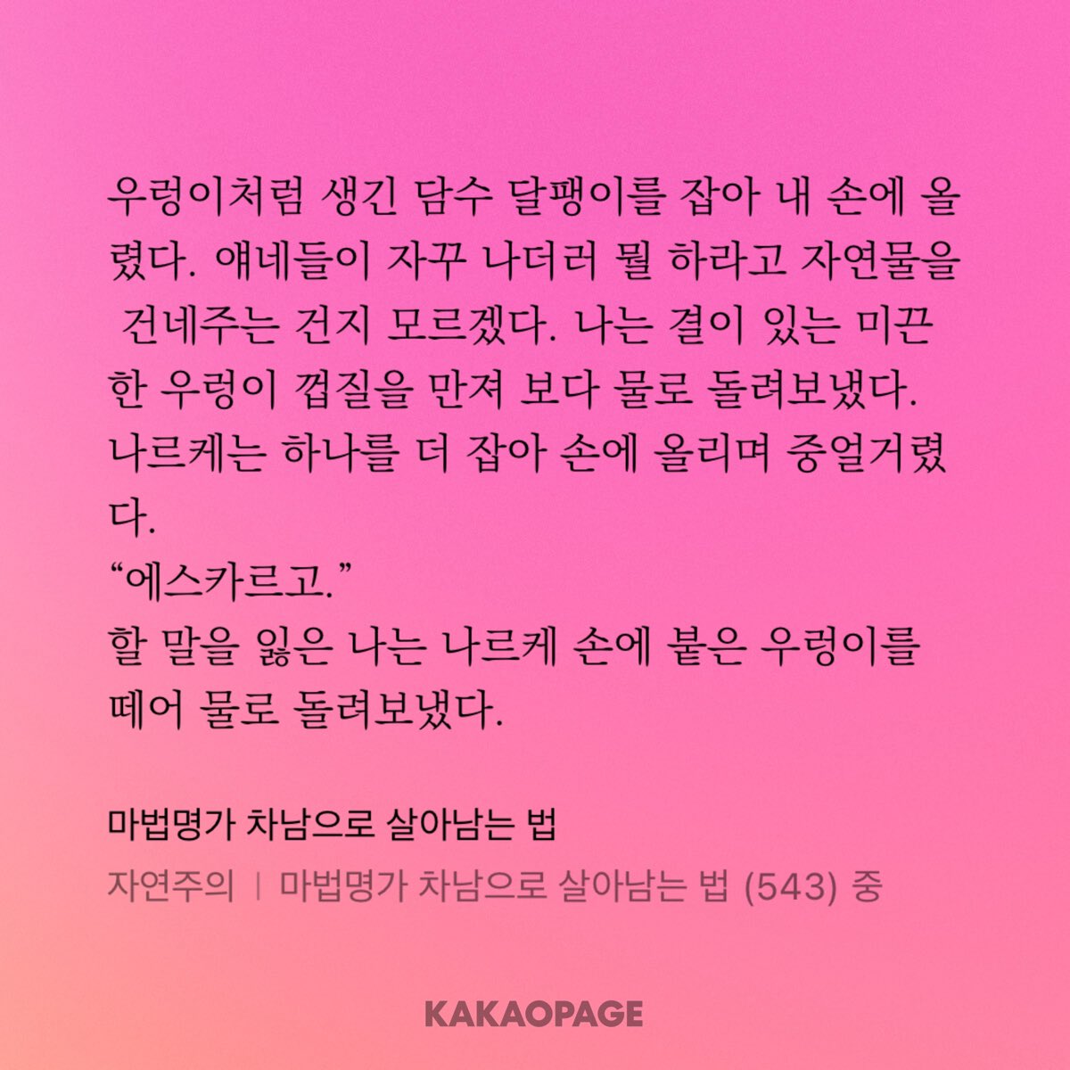 미터 tweet media