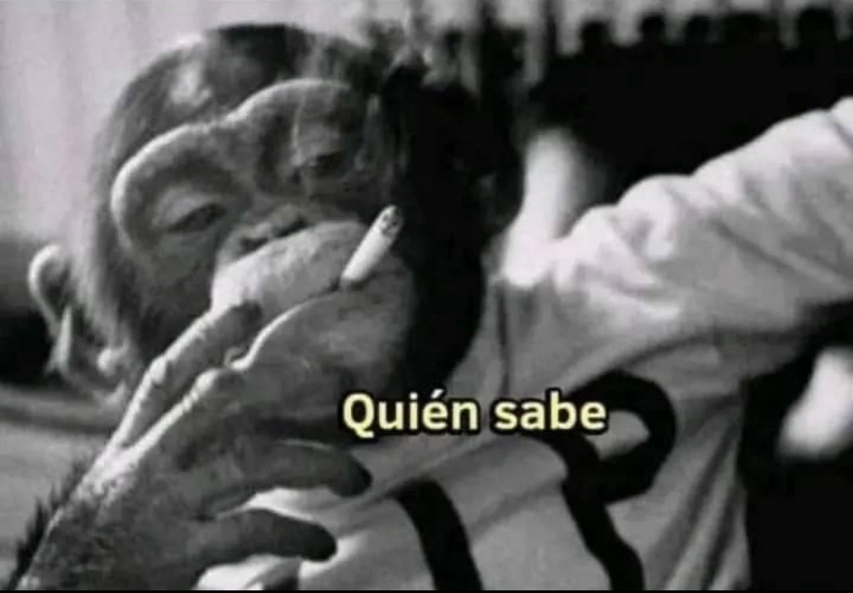 pilotomemeslat's tweet photo. “Oye, ¿a quién le lanzaste ese pase?” 

Brock Purdy: https://t.co/29uQ8rBfSW
