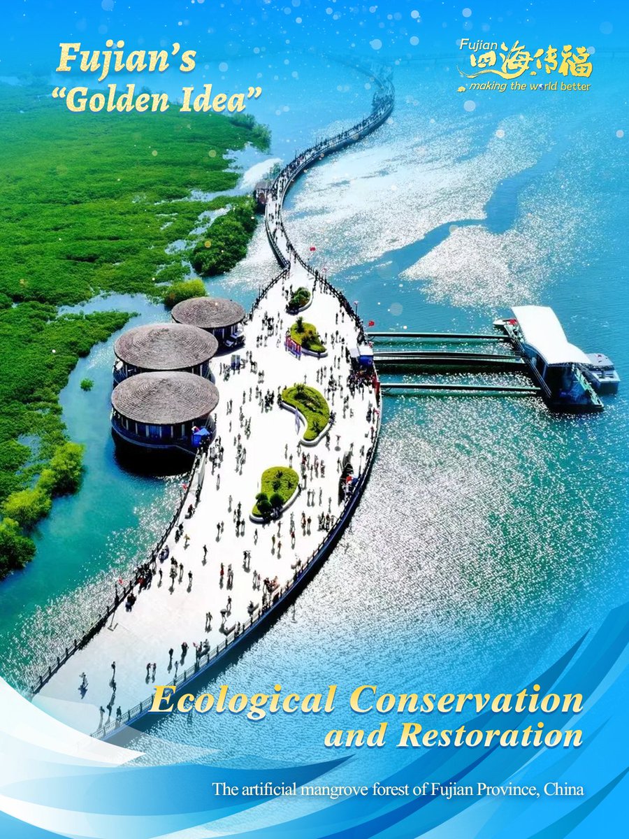 HolaFujian's tweet image. During the 14th Five-Year Plan period (2021-25), Fujian has advanced ecological conservation and restoration on all fronts, implementing coordinated measures across key areas and launching a series of effective restoration projects. #Fujian #ecologic #restoration @fujiantravel…