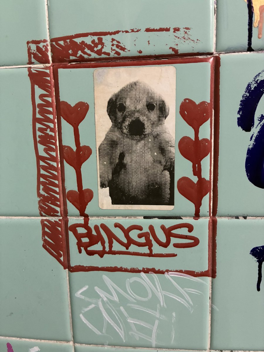 𝔐𝔞𝔠𝔢 tweet media