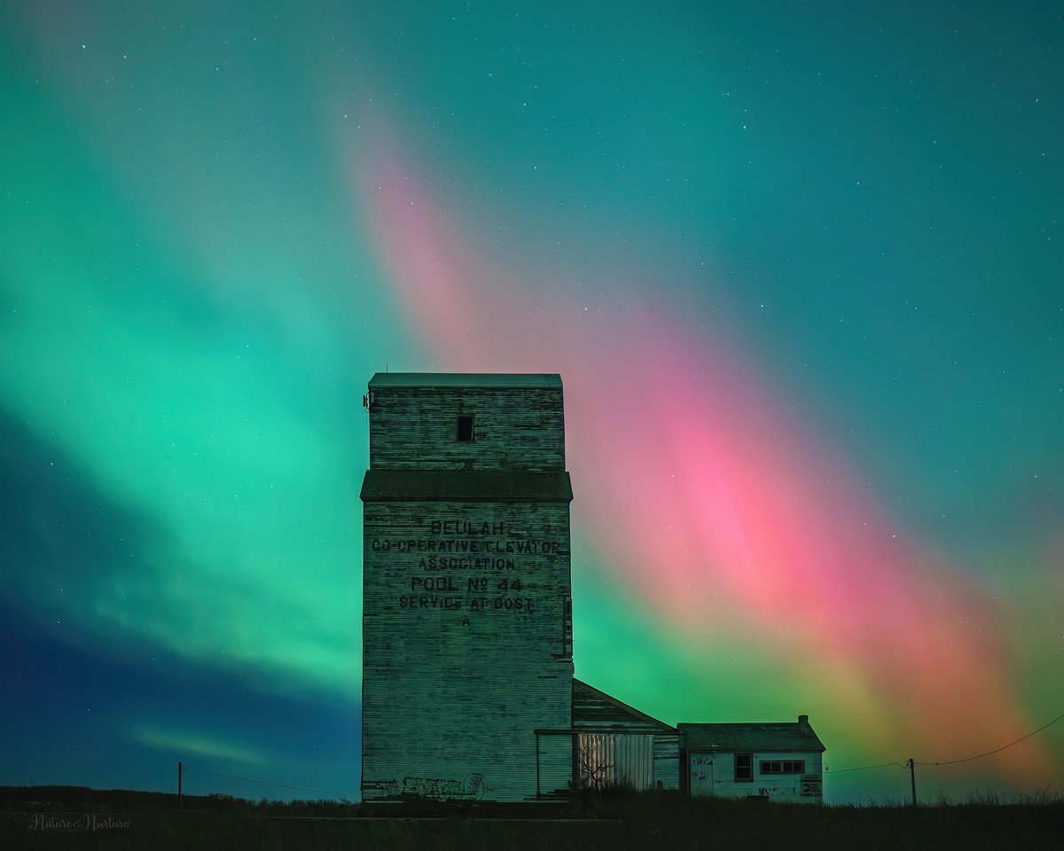 tracygregorash's tweet image. Nov. 11th, 8:25PM in Beulah, Manitoba. #aurora #elevator #Manitoba