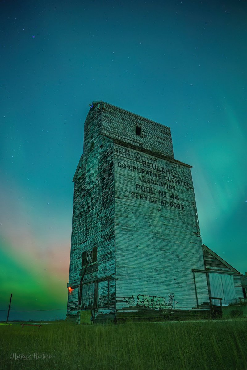 tracygregorash's tweet image. Nov. 11th, 8:25PM in Beulah, Manitoba. #aurora #elevator #Manitoba