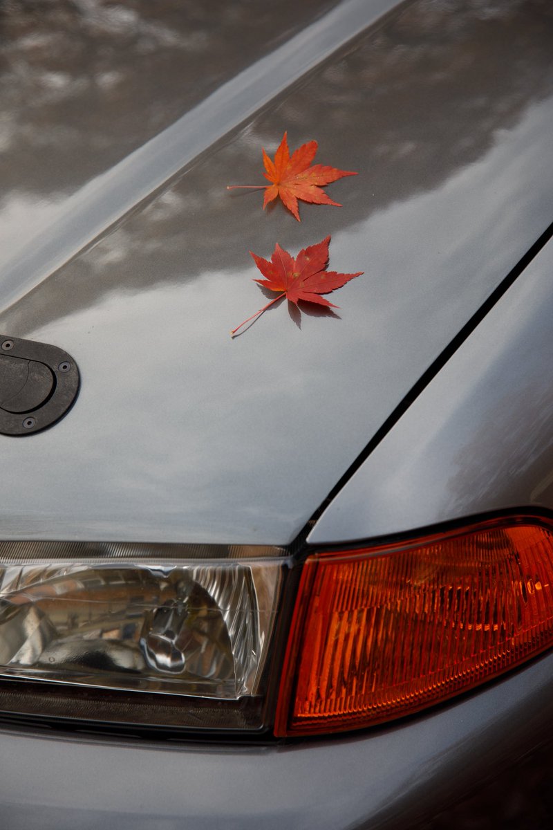 桂 (@tanisi1208) on Twitter photo 