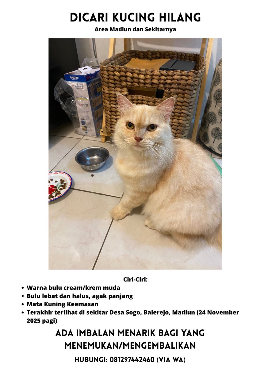 Teman2 kalau ada rekomendasi ancom kucing bisa DM aku ya. Terima kasih banyak.