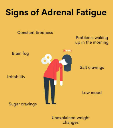 KristenJakobitz's tweet image. Myth: #Caffeine gives you energy. 

Fact: Caffeine borrows energy from your adrenals. True energy comes from cellular health, stable blood sugar, and sufficient sleep. 

#EnergyBoost #AdrenalFatigue #Health