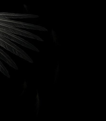 ᅠᅠᅠᅠᅠ❛ ℐ𝑐𝑎𝑟𝑢𝑠 。 tweet media