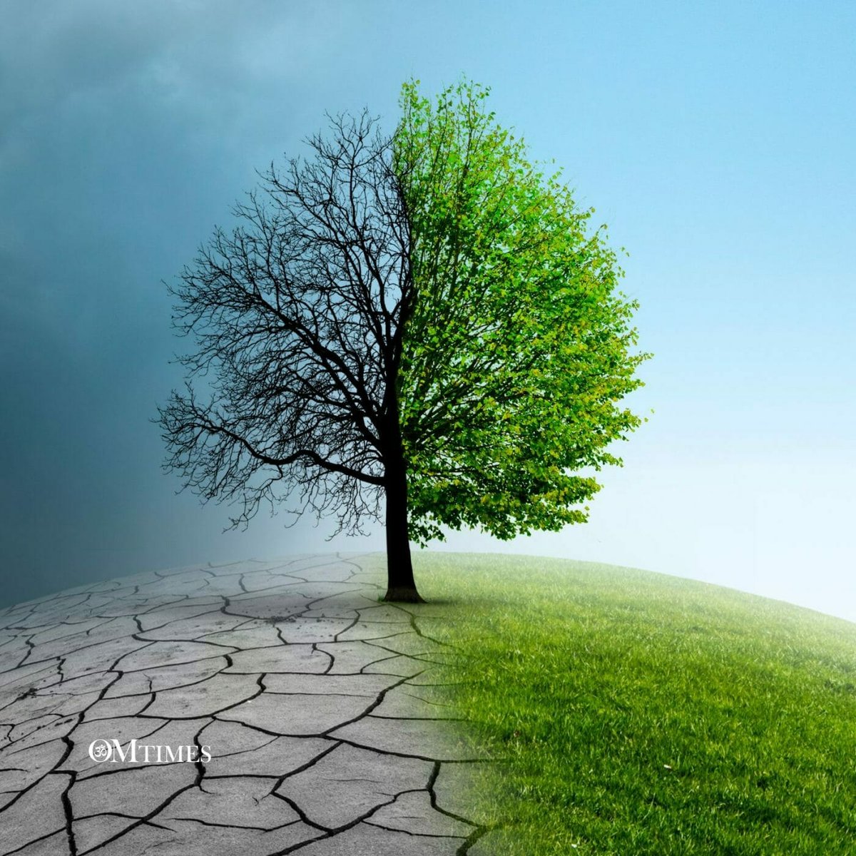 humanityhealing's tweet image. #ClimateChange is one of the most challenging threats humanity has ever faced, and we need the courage to change course.  Here are 12 solutions to tackle the #ClimateCrisis &amp;amp; put the world on a path to 0 emissions - Creating Solutions to the Climate Crisis tinyurl.com/yok5tyr7