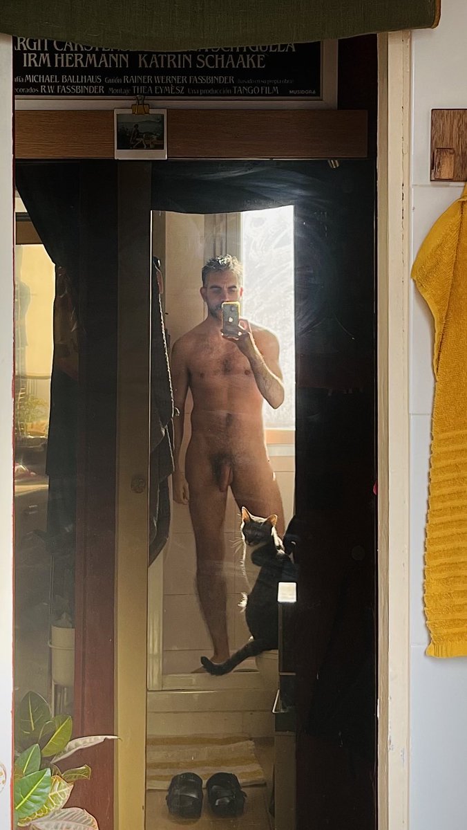 alealejandro tweet media