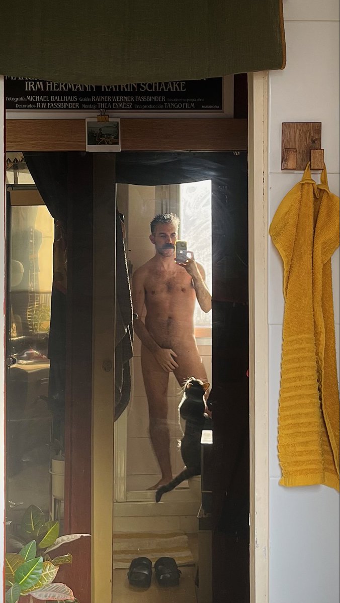 alealejandro tweet media