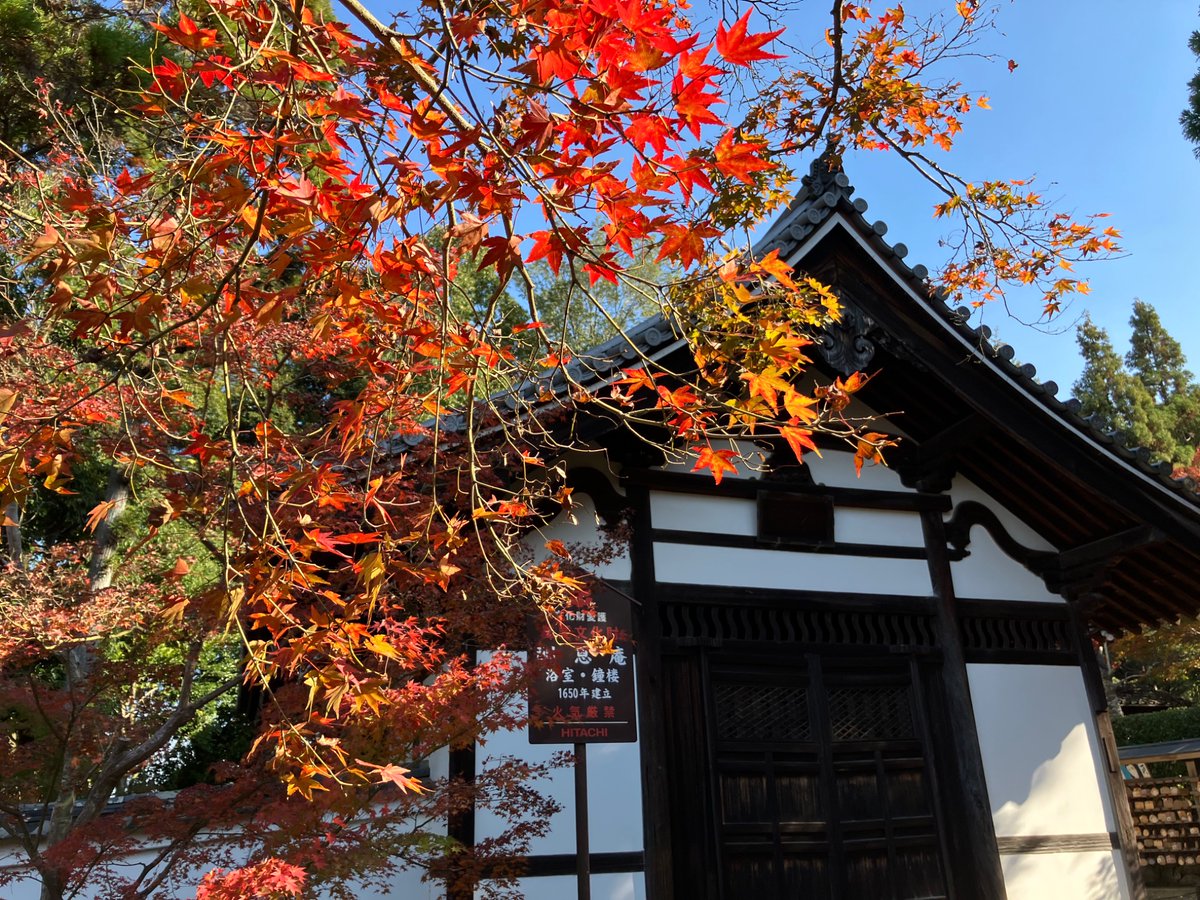 さとちゃん18 (@satochan1855) / Posts / X