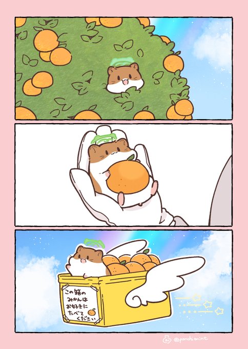 しらほし卯乃@単行本発売中🌻🐹(@ponchimint) さんのマンガ一覧 : いい