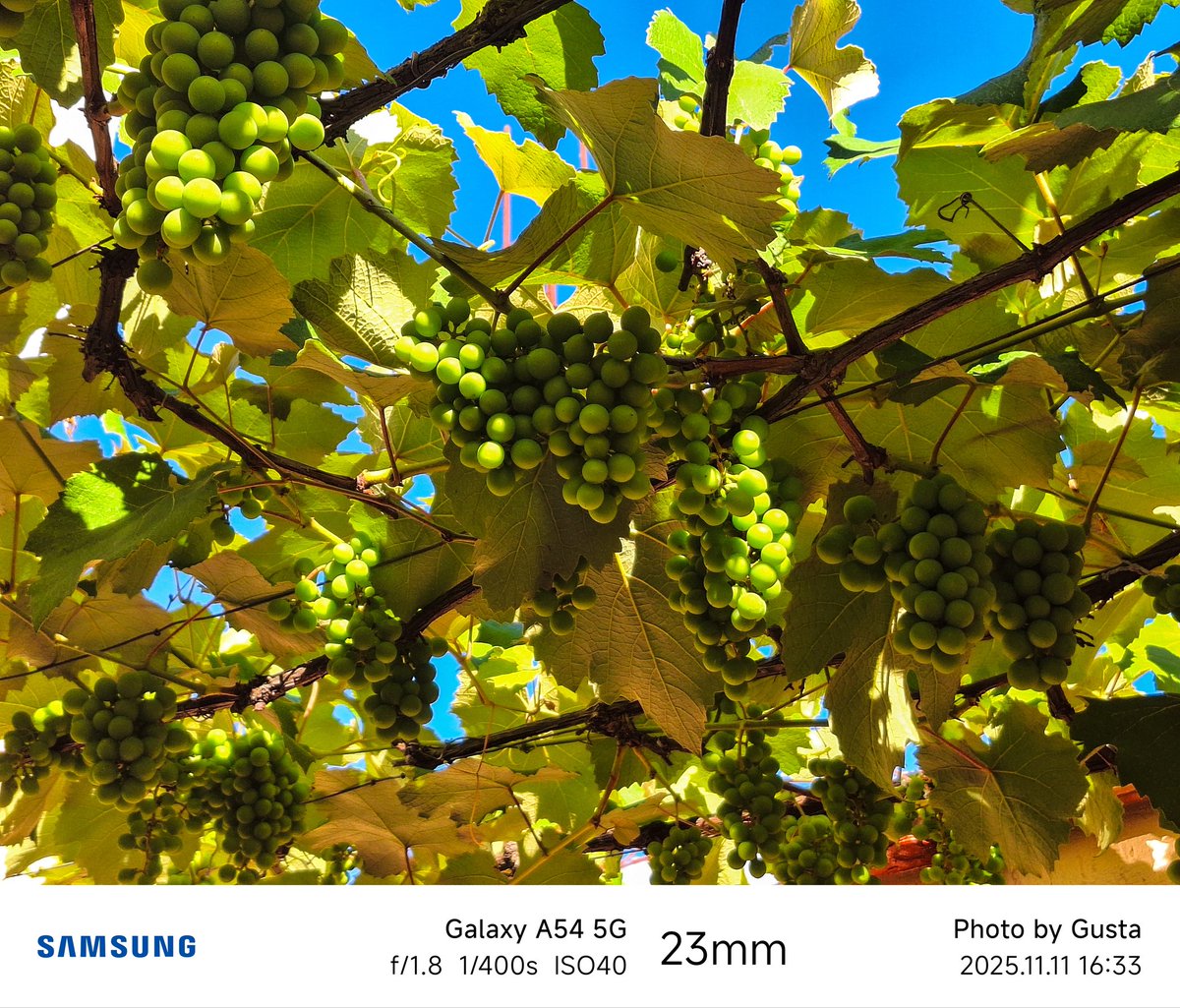 Gusta Edits tweet media