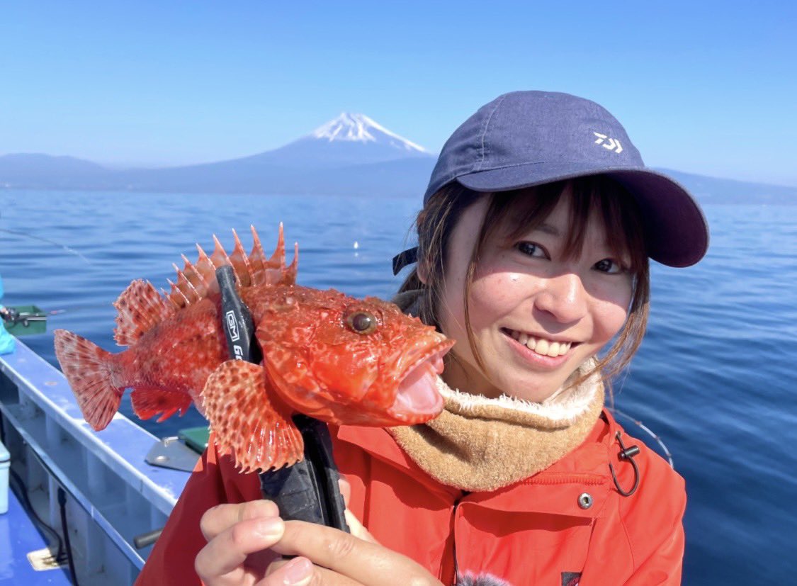 shizuoka_umi's tweet photo. #三浦愛 です🎣
オニカサゴ👹水深 80〜250m前後 の岩礁帯や砂泥地に多く生息しています。
釣り餌はサバ切り身、イカ短冊、サンマの切り身など食欲旺盛❗️しっかりした白身で脂がのり、煮つけ・鍋・唐揚げ・刺身などどれも絶品😋 https://t.co/xi1FMMC7CA