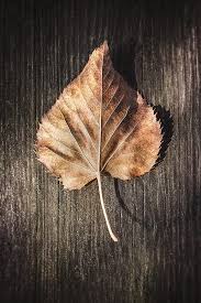 AkankshaKaAks's tweet image. वास्तविकता जीवन को सरल बनाती है,
दिखावे मे जीने वाले लोग अक्सर उलझे रहते हैं.

- अज्ञात

कभी देखा है अपने अंदर झांक कर क्यूँ इतने उलझे हो?