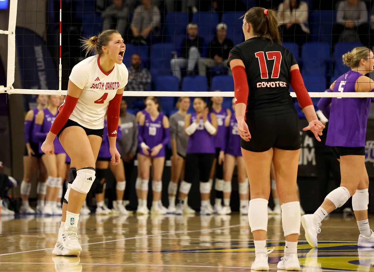 TheSummitLeague's tweet image. Championship Tuesday is set 😤

Photo gallery, recap, stats, and more 👇
🗞️ » tinyurl.com/4pjb4ccs
📸 » @Inertia_Photo
 
#ReachTheSummit x #SummitVB