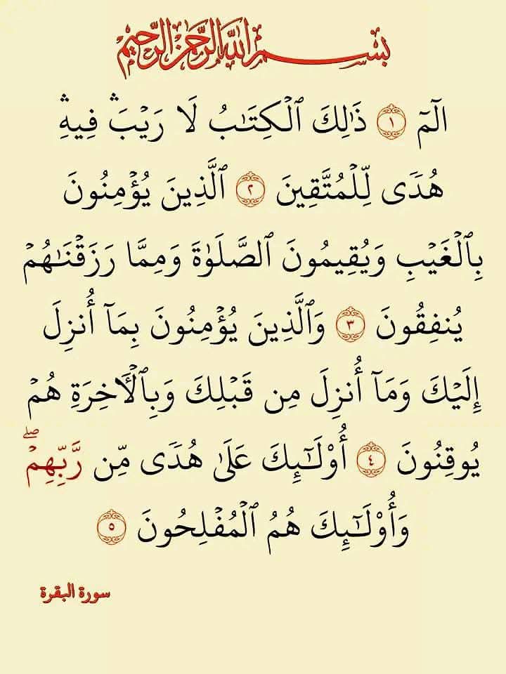 Hasseb (@hassebhh67) on Twitter photo 