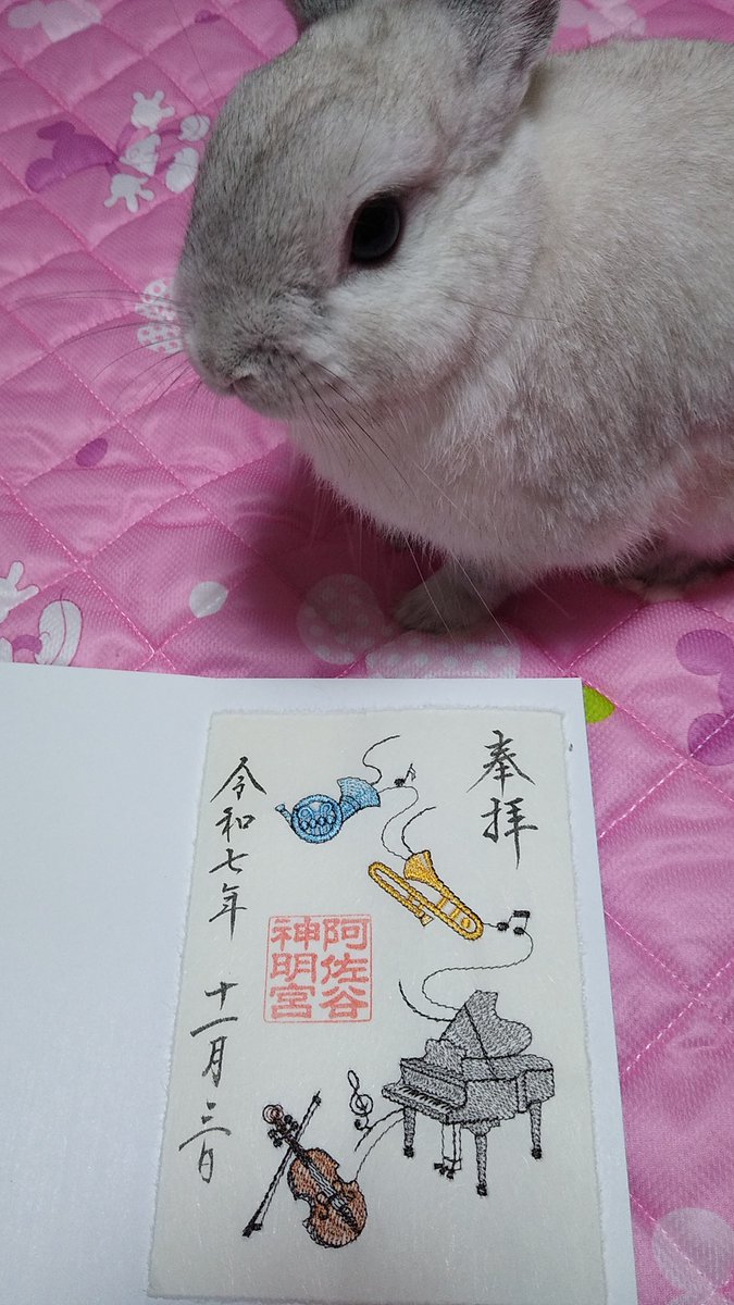 今回は世にも珍しい、楽器がいっぱいの御朱印です🐰🎶🎺🎹王子様２世は、みんなで楽しくぴょんぴょんできる音楽が大好きです🐰🐰🐰🎶