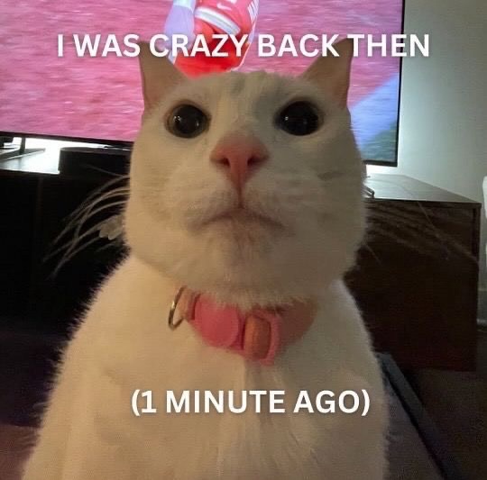 Catsillyness's tweet photo. https://t.co/OZUg6lGwvp