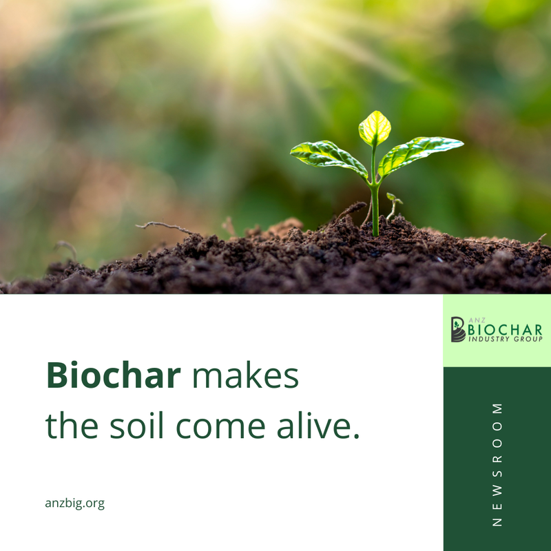 AAnzbig's tweet photo. 💯 Biochar improves soil health and crop yield. 

When added to soil, biochar boosts water retention, nutrient availability, and microbial activity. 

Healthier soils mean stronger crops and reduced need for fertilisers. 

#ANZBIG #Biochar #biochar #bioenergy #carbondrawdown https://t.co/GSyXXOUbIi