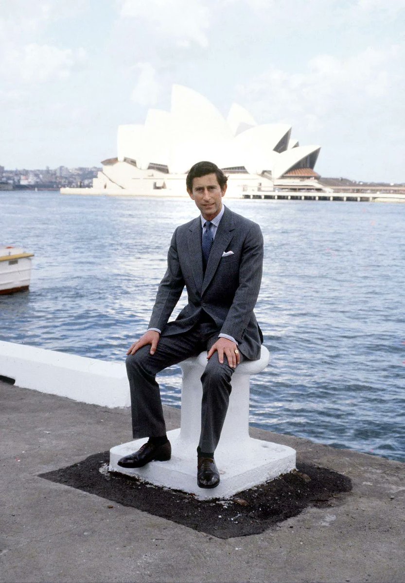 australian kitsch 🦘 tweet media