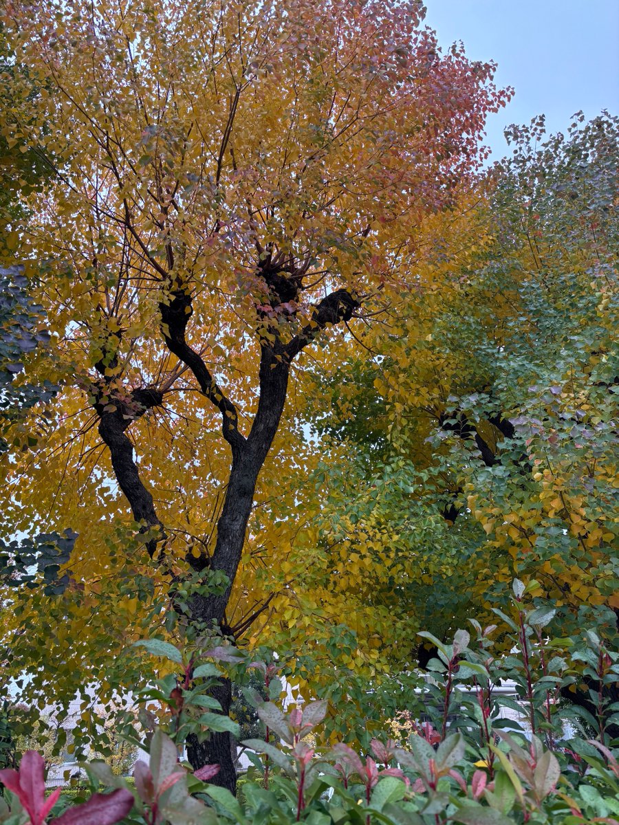 query1000's tweet image. 