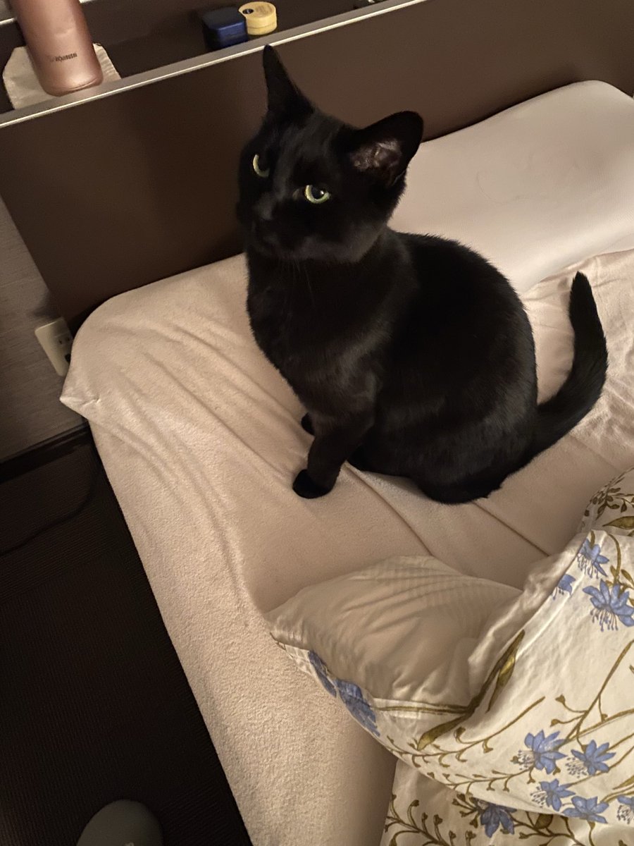 夜は一緒に寝てるの🥰