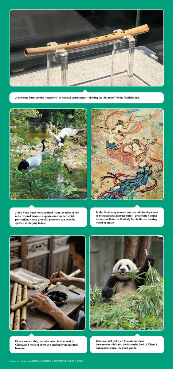 The earliest known melody played by humans dates back 8,000 years—and Jiahu bone flutes were the instrument that made it possible.
Click picture to learn more.