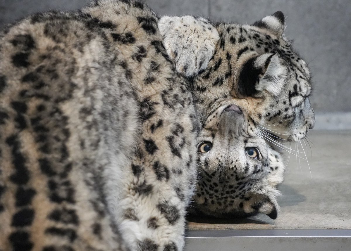 yurisexslave's tweet image. Hugs you for reassurance