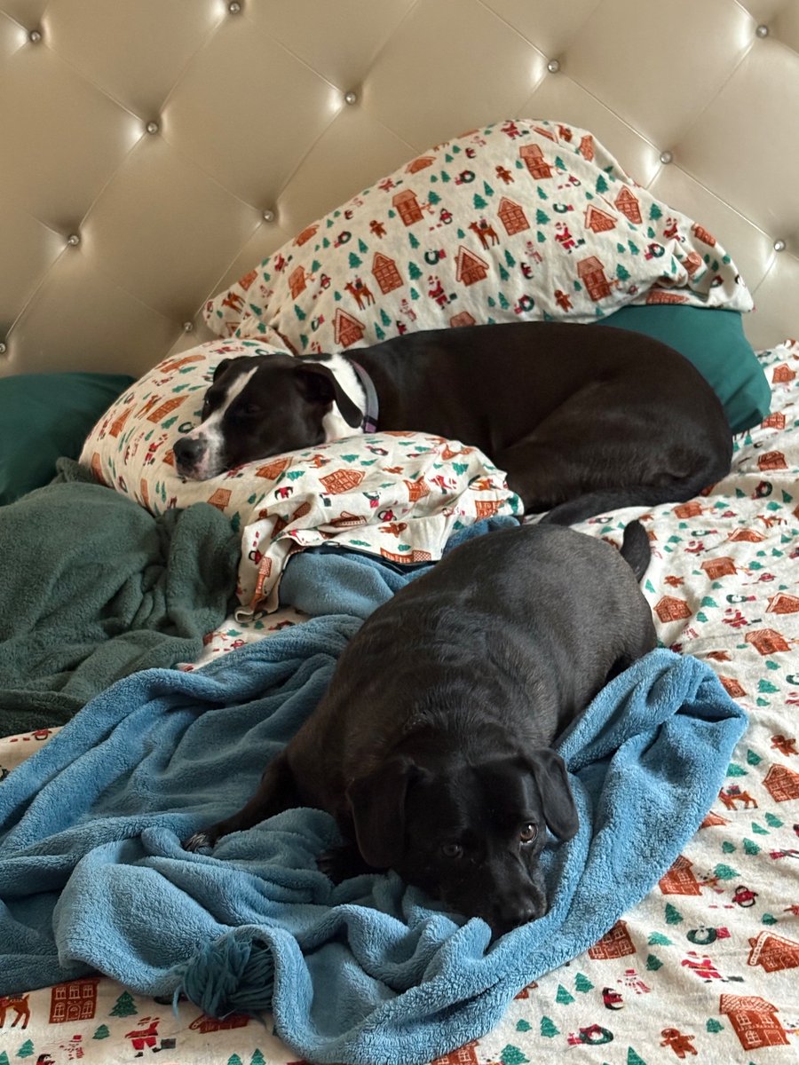 Spooky Girlie Pop tweet media