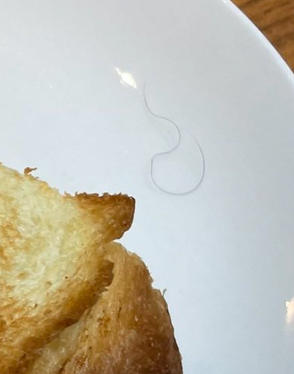 こしあん (@koooshi1254) / Posts / X