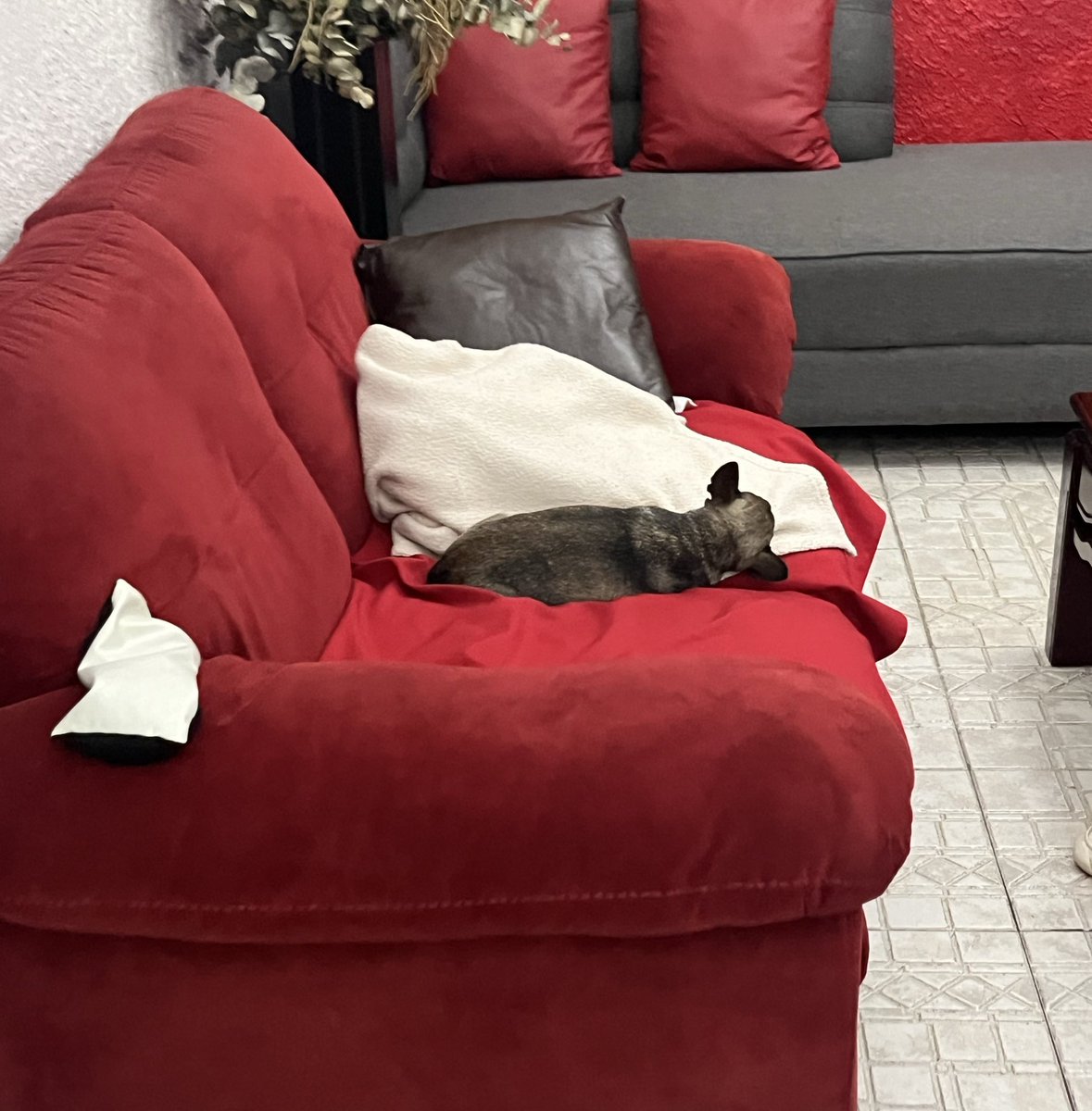 Te extraño mucho mi gordito hermoso 😭😭😭